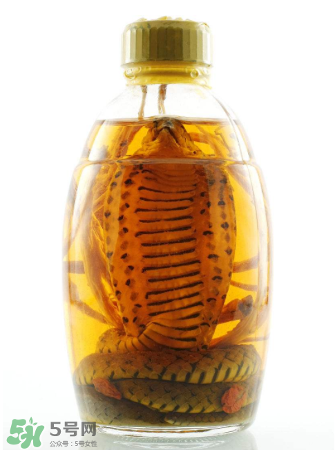 毒蛇泡酒有毒嗎？毒蛇泡酒能喝嗎？