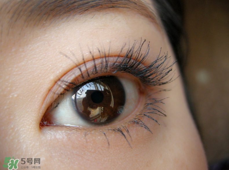 KATE睫毛打底膏怎么用？KATE睫毛打底膏好用嗎？