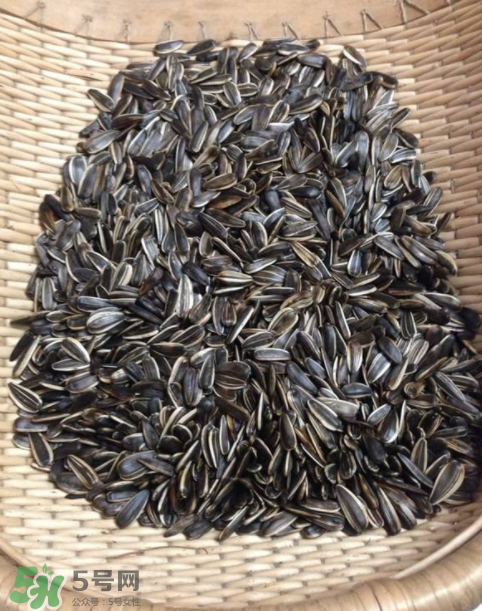 葵花籽是果實還是種子？葵花籽是堅果嗎？