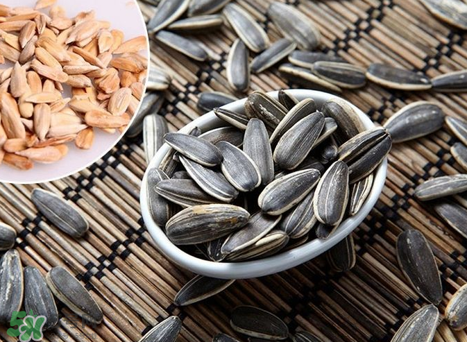 葵花籽是果實還是種子？葵花籽是堅果嗎？
