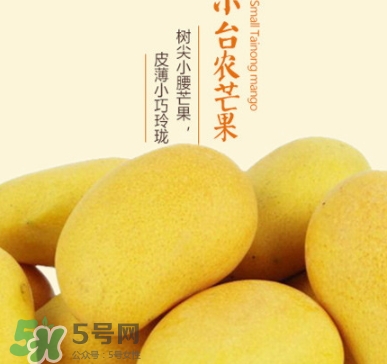 臺農(nóng)芒果多少錢一斤？臺農(nóng)芒果為什么叫臺農(nóng)芒果