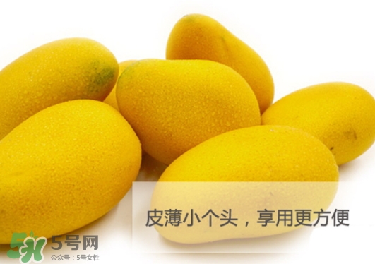 臺農(nóng)芒果多少錢一斤？臺農(nóng)芒果為什么叫臺農(nóng)芒果