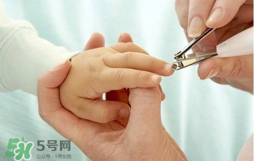 寶寶多大可以剪指甲？寶寶剪指甲的正確方法