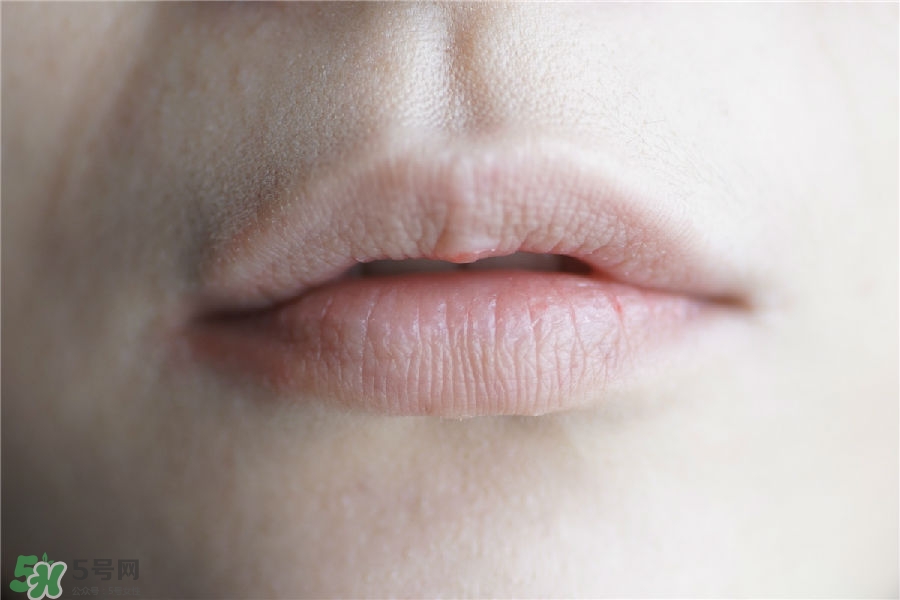 希思黎抗氧保濕唇膏哪個好看 選哪個好 希思黎抗氧保濕唇膏哪個好看 選哪個好