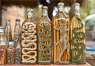 毒蛇泡在酒里為什么不死？毒蛇泡酒不死是什么原因？