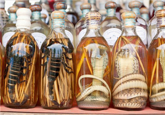 毒蛇泡酒有毒嗎？毒蛇泡酒能喝嗎？