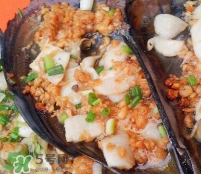 帶子是什么海鮮？帶子是什么東西