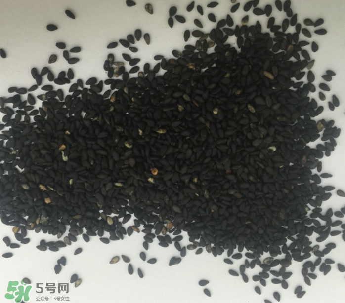 韭菜籽多少錢一斤？韭菜籽怎么賣的？