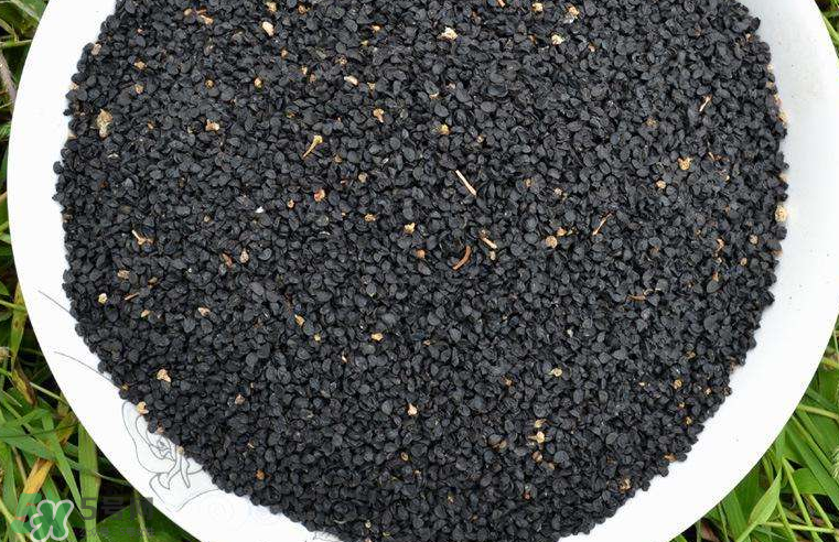 韭菜籽多少錢一斤？韭菜籽怎么賣的？