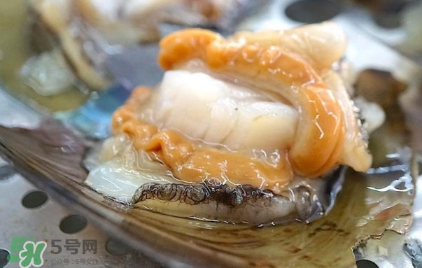 帶子哪里不能吃？帶子有什么營養(yǎng)價值