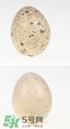 希思黎持久粉底液這么樣 希思黎持久粉底液好用嗎 希思黎持久粉底液這么樣 希思黎持久粉底液好用嗎