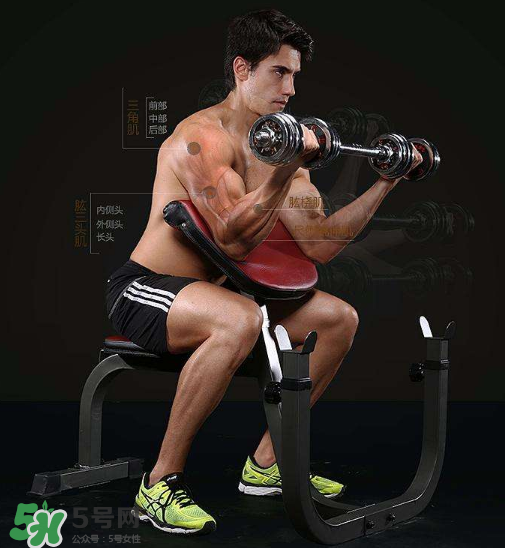 牧師凳彎舉怎么練？牧師凳杠鈴彎舉訓(xùn)練要點(diǎn)