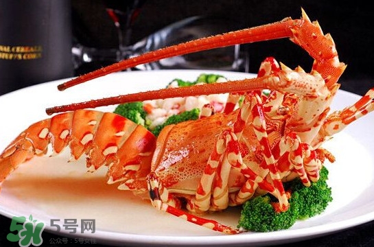 中華錦繡龍蝦可以養(yǎng)殖嗎？中華錦繡龍蝦有毒嗎