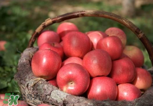 阿克蘇蘋(píng)果什么時(shí)候上市？阿克蘇蘋(píng)果幾月上市？