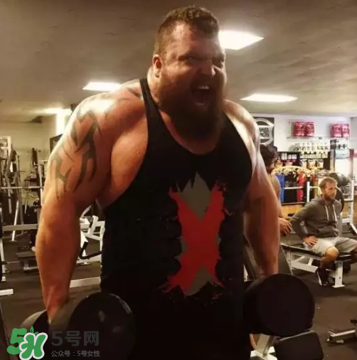 硬拉要放地上嗎？硬拉要觸地嗎？