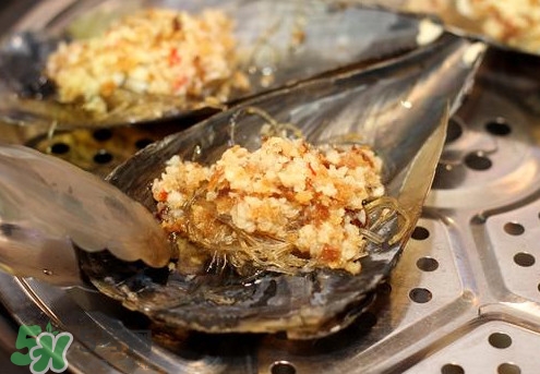 帶子哪里不能吃？帶子有什么營養(yǎng)價值