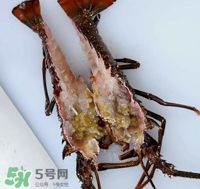 4斤的波士頓龍蝦多少錢？波士頓龍蝦怎么處理