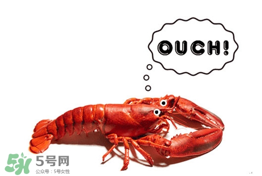 波士頓龍蝦有什么簡單好吃的做法？波士頓龍蝦要怎么殺