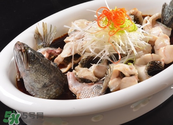 黑魚怎么殺不滑？黑魚為什么又被叫做財魚