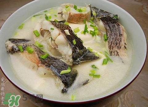 黑魚湯是發(fā)物嗎？黑魚湯可以放香菇嗎