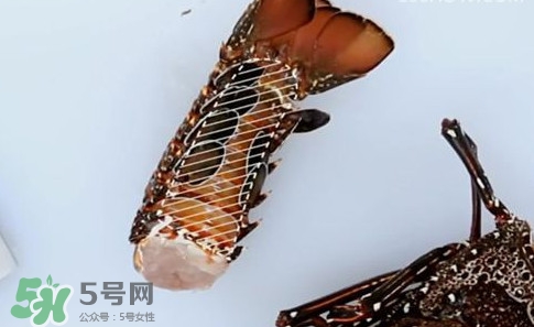 波士頓龍蝦產(chǎn)自波士頓嗎？波士頓龍蝦是哪里的