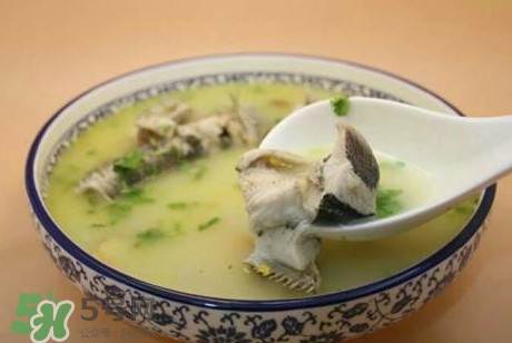 黑魚(yú)湯下奶嗎？黑魚(yú)湯是下奶還是回奶