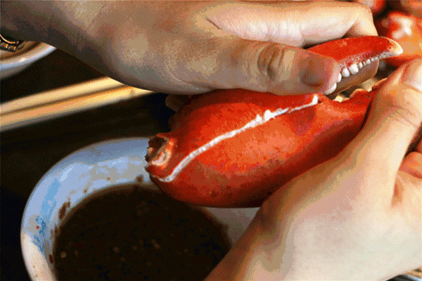 波士頓龍蝦有多大？波士頓龍蝦怎樣去殼