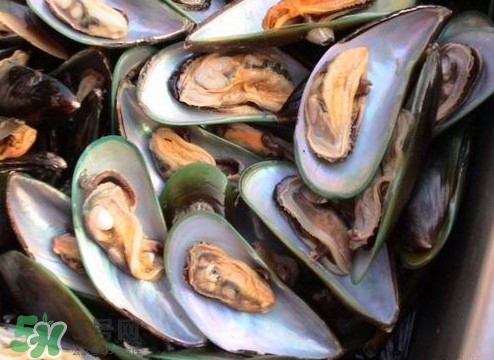 帶子哪里不能吃？帶子有什么營養(yǎng)價值