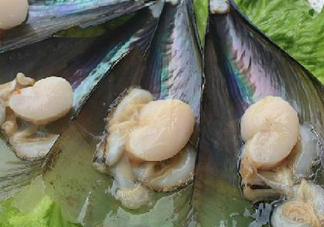 帶子哪里不能吃？帶子有什么營(yíng)養(yǎng)價(jià)值