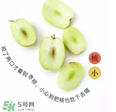 金絲棗的營養(yǎng)價(jià)值 金絲棗的功效與作用 金絲棗的營養(yǎng)價(jià)值 金絲棗的功效與作用