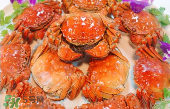 大閘蟹的營養(yǎng)價值 大閘蟹的功效與作用 大閘蟹的營養(yǎng)價值 大閘蟹的功效與作用