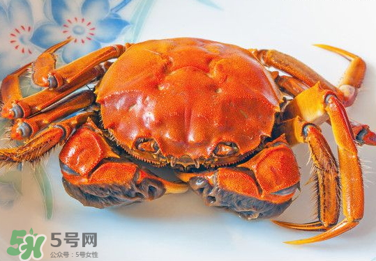 大閘蟹的營養(yǎng)價值 大閘蟹的功效與作用 大閘蟹的營養(yǎng)價值 大閘蟹的功效與作用