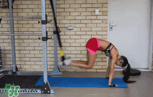 trx訓(xùn)練是有氧嗎？trx訓(xùn)練是有氧還是無(wú)氧？