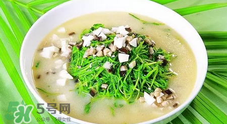 秋季養(yǎng)生吃什么？秋季養(yǎng)生湯推薦