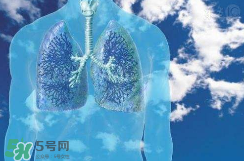 秋季如何護(hù)肺？秋季護(hù)肺小妙招