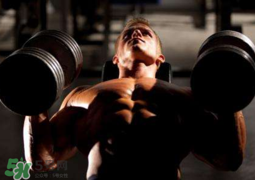 臥推用杠鈴還是啞鈴好？杠鈴臥推和啞鈴臥推的區(qū)別