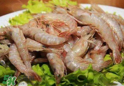 青蝦的營養(yǎng)價(jià)值 青蝦的功效與作用 青蝦的營養(yǎng)價(jià)值 青蝦的功效與作用