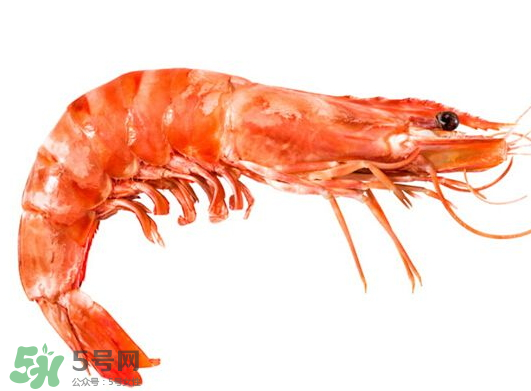 明蝦是海蝦還是河蝦？明蝦是什么蝦？