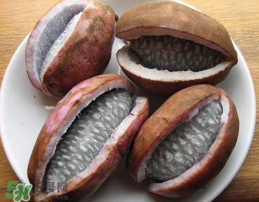 八月瓜的籽能吃嗎？八月瓜的籽可以種嗎