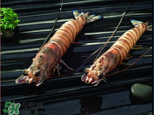 草蝦的營養(yǎng)價值 吃草蝦的好處 草蝦的營養(yǎng)價值 吃草蝦的好處