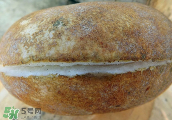 預知子果為什么種的人少？預知子和八月扎有區(qū)別嗎