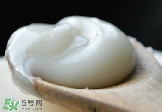 椴樹(shù)蜜可以泡檸檬嗎？椴樹(shù)蜜放冰箱冷藏好還是冷凍好