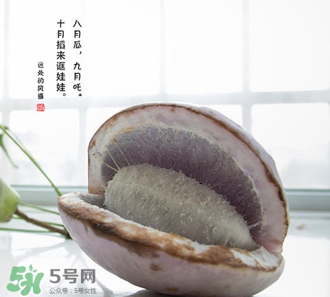 八月瓜可以泡酒嗎？八月瓜可以治乙肝嗎