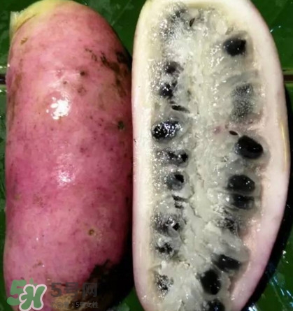 八月瓜的籽能吃嗎？八月瓜的籽可以種嗎