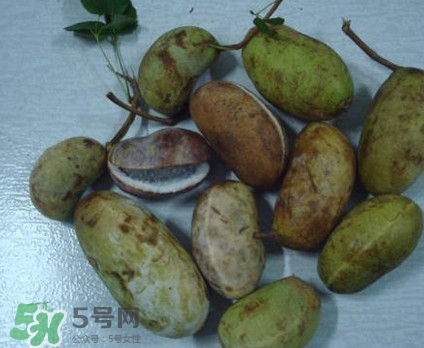 野香蕉孕婦能吃嗎？野香蕉好吃嗎？