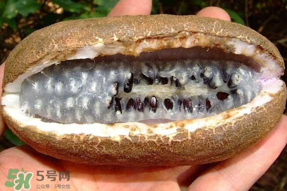 八月瓜能吃嗎？八月瓜到底有什么價(jià)值？