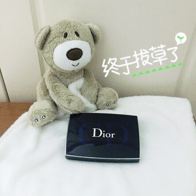 迪奧凝脂恒久粉餅色號選擇 迪奧凝脂恒久粉餅好嗎