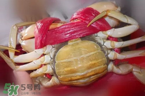 黃油蟹放冰箱能放多久？黃油蟹怎么挑選