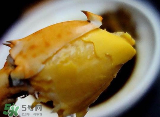 黃油蟹是什么蟹？黃油蟹多少錢一只