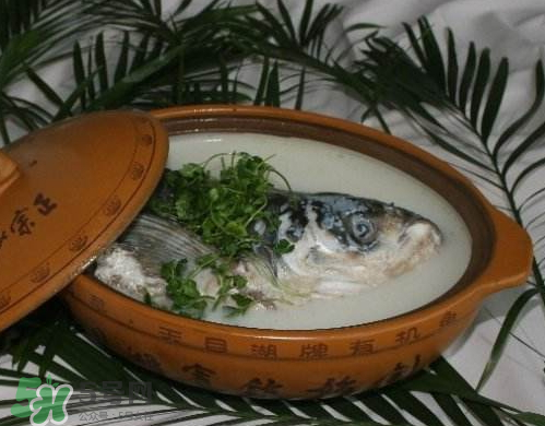 鰱魚頭湯孕婦可以吃嗎？鰱魚頭湯的功效與作用
